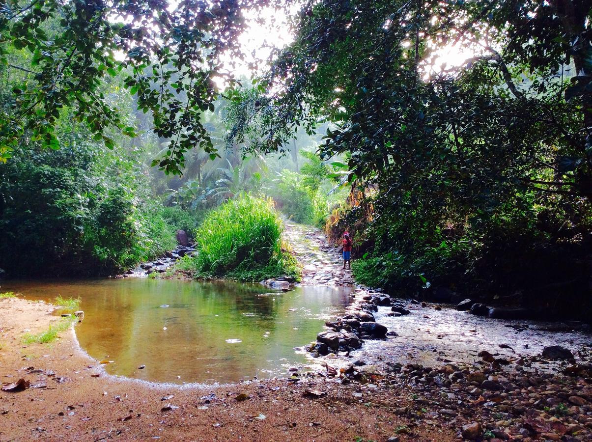 דניאיאה Natural Mystic Sanctuary מראה חיצוני תמונה