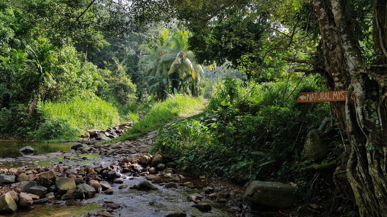 דניאיאה Natural Mystic Sanctuary מראה חיצוני תמונה